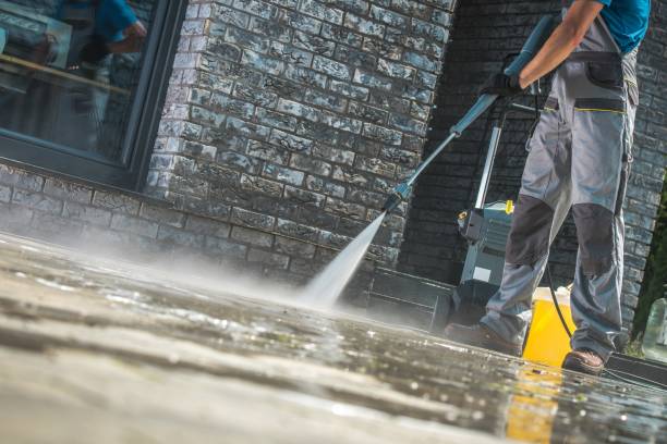 Best Animal Enclosure Cleaning  in Chesapeake, WV